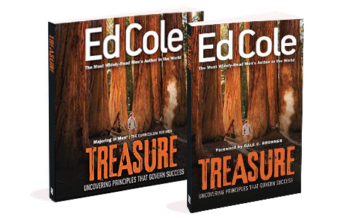 Treasure: Uncovering Principles That Govern Success [Book]
