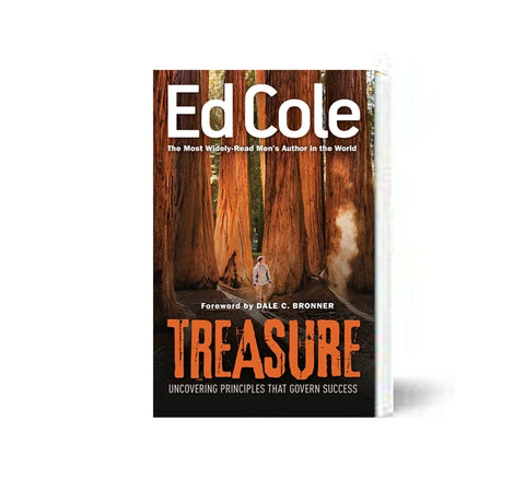Treasure: Discovering Principles that Govern Success