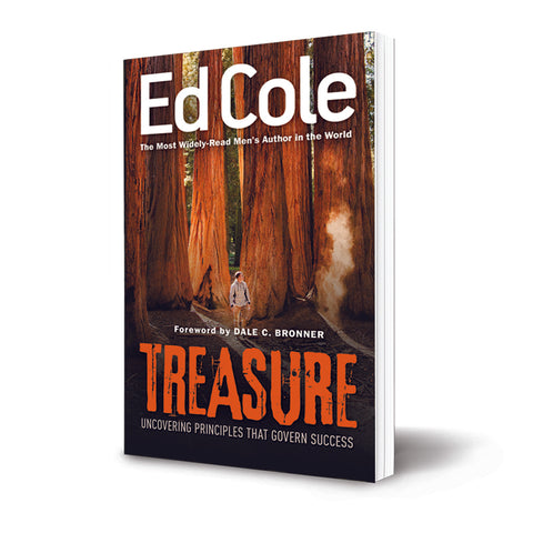 Treasure: Discovering Principles that Govern Success